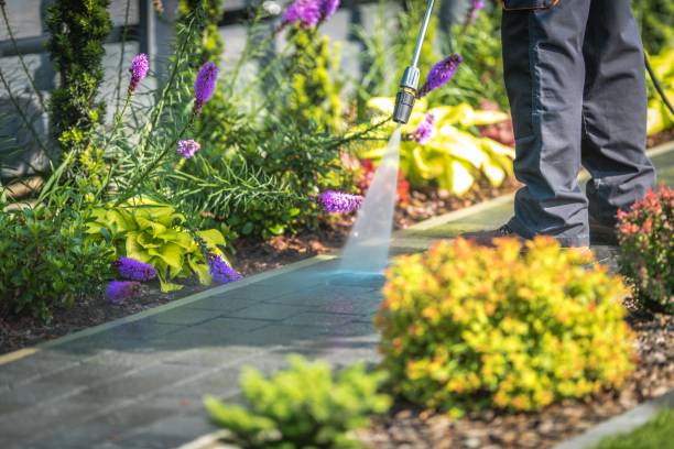 Best Restaurant Pressure Washing  in Perham, MN