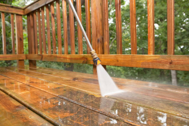 Best Animal Enclosure Cleaning  in Perham, MN